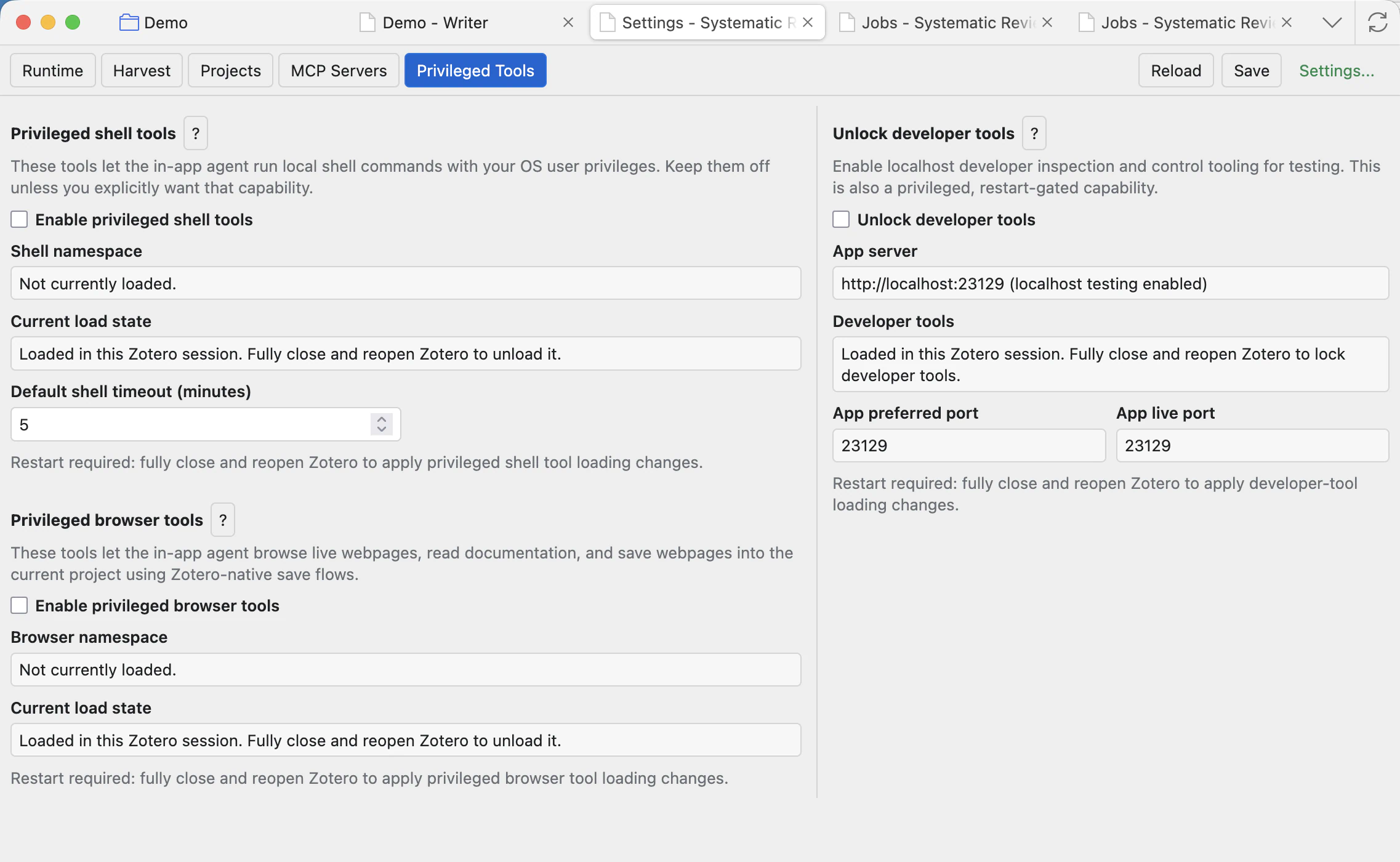 Settings Privileged Tools tab with shell, browser, and developer tool groups disabled and showing current load states.